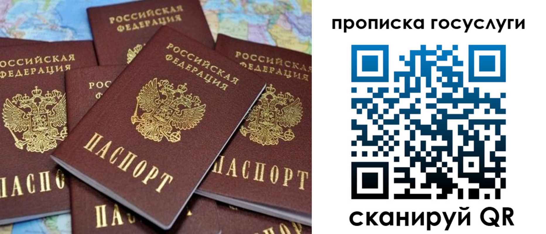 временная регистрация для всех в Новом Осколе